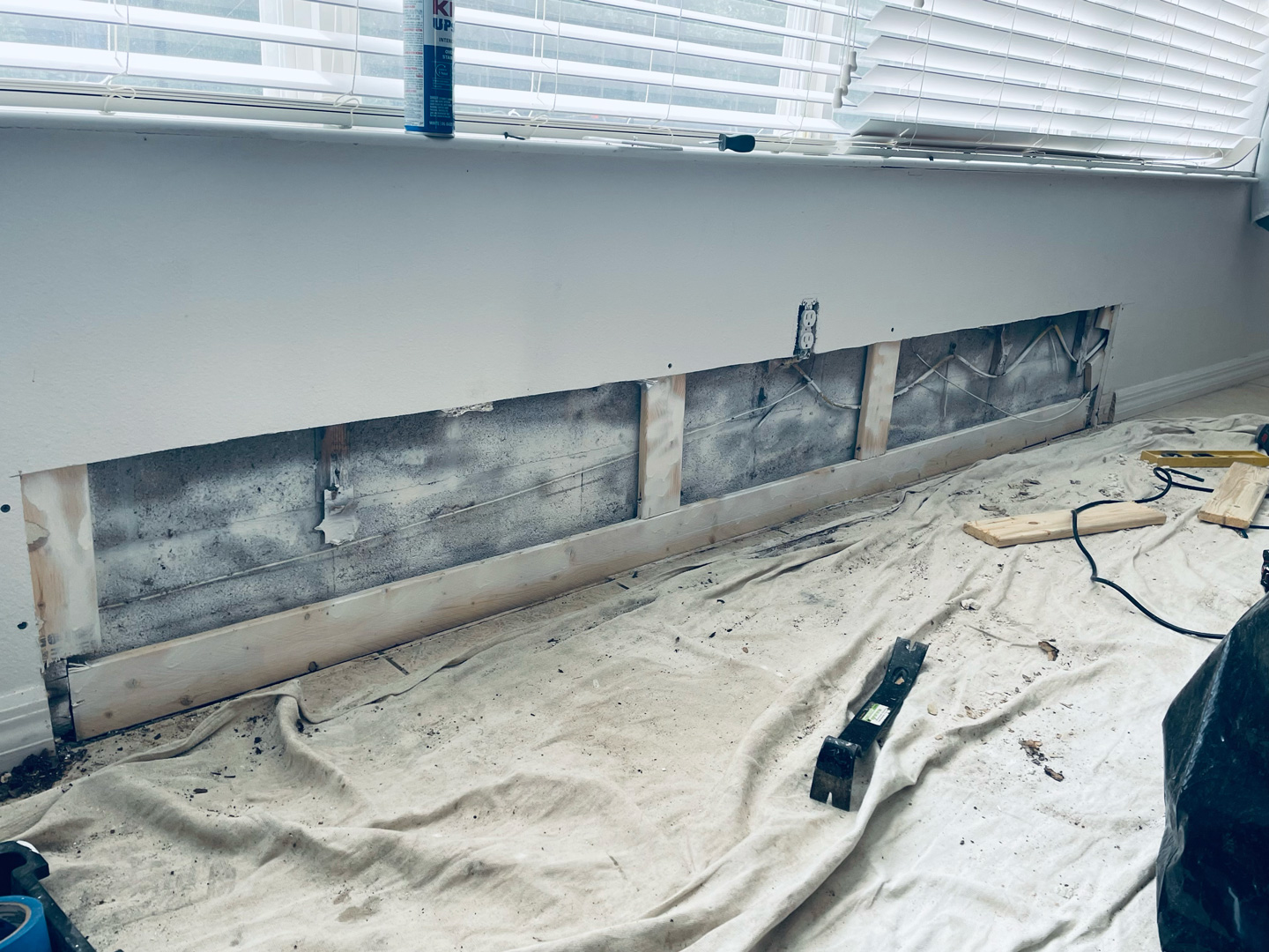 Mold remediation technician setup